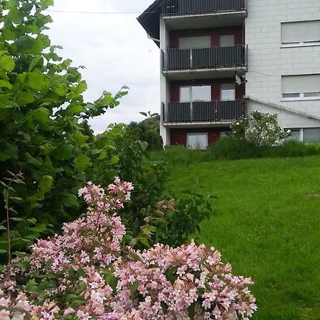 Ferienwohnung Am Eichbuehl Waldkirch Ngoại thất bức ảnh
